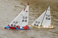 DSC03798 © Peter Taylor 2012