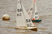 DSC03815 © Peter Taylor 2012