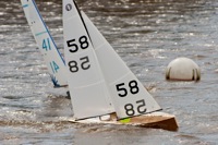 DSC09906 © Peter Taylor 2012