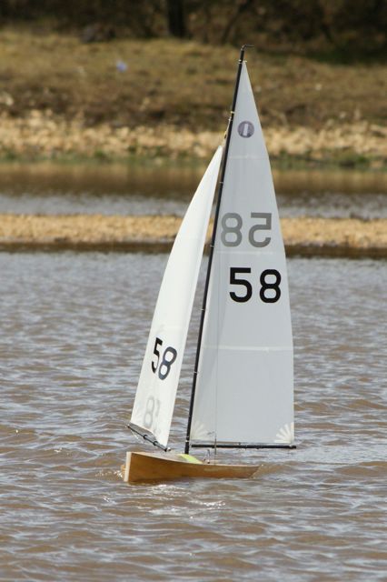 DSC03721 © Peter Taylor 2012
