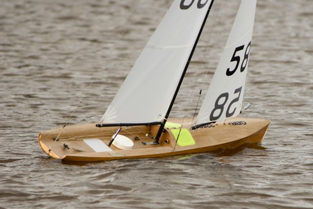 DSC03406 © Peter Taylor 2012
