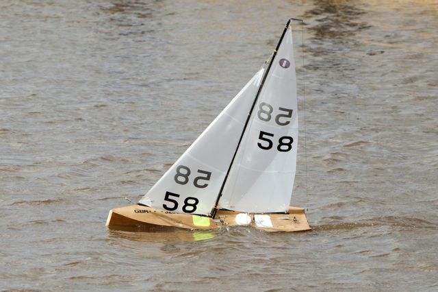 DSC03674 © Peter Taylor 2012