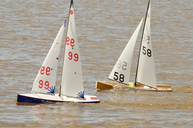 DSC03757 © Peter Taylor 2012