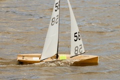DSC03827 © Peter Taylor 2012