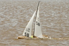DSC03700 © Peter Taylor 2012