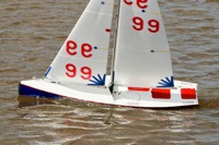 DSC03429 © Peter Taylor 2012
