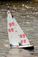 DSC03844 © Peter Taylor 2012