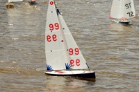 DSC03809 © Peter Taylor 2012