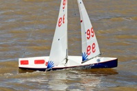 DSC03845 © Peter Taylor 2012