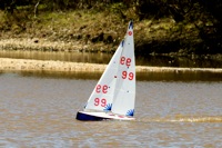 DSC03855 © Peter Taylor 2012