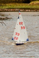 DSC03839 © Peter Taylor 2012