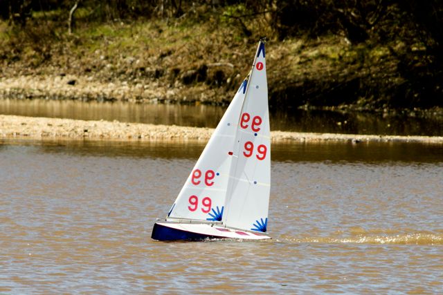 DSC03855 © Peter Taylor 2012