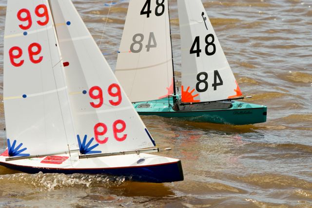 DSC03792 © Peter Taylor 2012