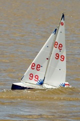 DSC03784 © Peter Taylor 2012