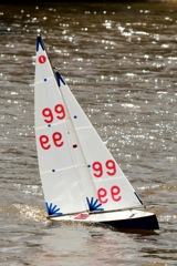 DSC03844 © Peter Taylor 2012