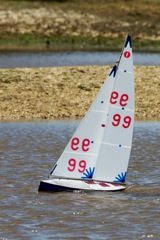 DSC03860 © Peter Taylor 2012