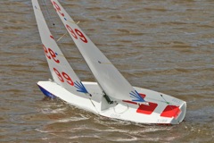 DSC03430 © Peter Taylor 2012