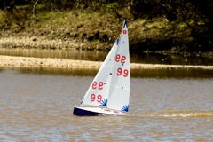 DSC03855 © Peter Taylor 2012