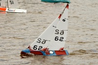 DSC03819 © Peter Taylor 2012