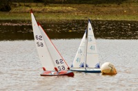 DSC03510 © Peter Taylor 2012