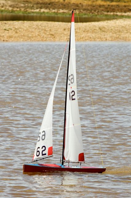 DSC03634 © Peter Taylor 2012