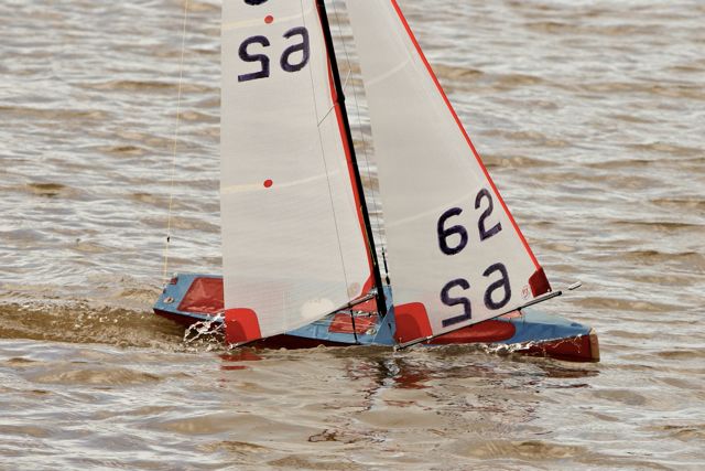 DSC03566 © Peter Taylor 2012