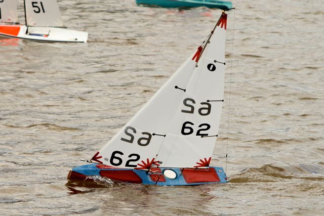 DSC03819 © Peter Taylor 2012