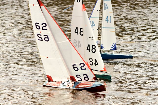 DSC03626 © Peter Taylor 2012