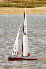 DSC03634 © Peter Taylor 2012