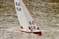DSC03624 © Peter Taylor 2012