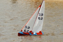 DSC03675 © Peter Taylor 2012