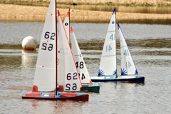 DSC03621 © Peter Taylor 2012