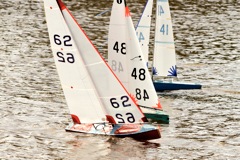 DSC03626 © Peter Taylor 2012