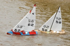 DSC03798 © Peter Taylor 2012
