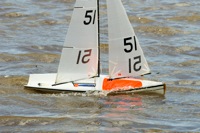 DSC03832 © Peter Taylor 2012