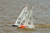 DSC03738 © Peter Taylor 2012