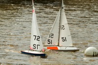 DSC03745 © Peter Taylor 2012