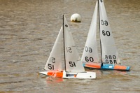 DSC03805 © Peter Taylor 2012