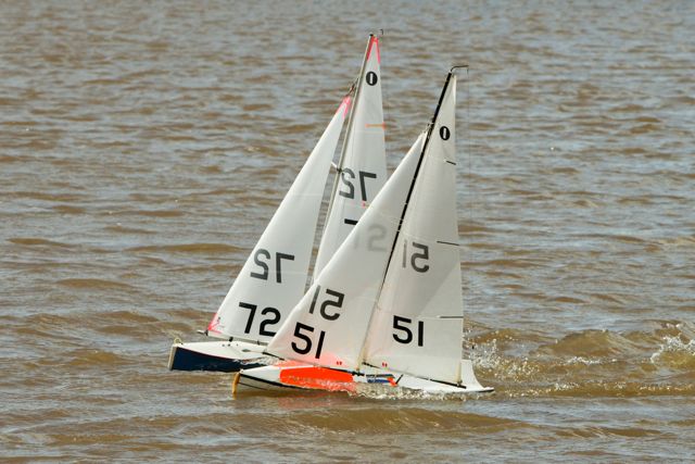 DSC03738 © Peter Taylor 2012