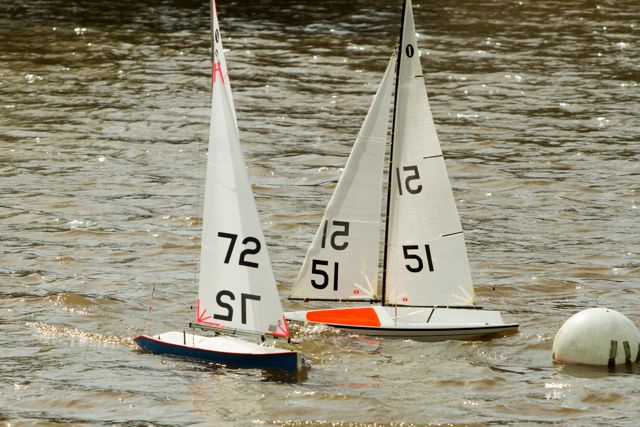 DSC03745 © Peter Taylor 2012