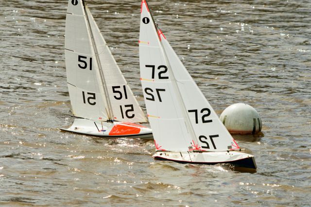 DSC03854 © Peter Taylor 2012