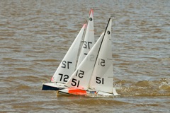 DSC03738 © Peter Taylor 2012