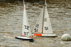 DSC03745 © Peter Taylor 2012