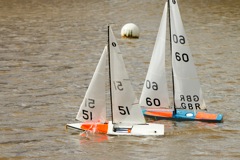 DSC03805 © Peter Taylor 2012