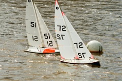 DSC03854 © Peter Taylor 2012