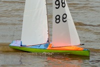 DSC03461 © Peter Taylor 2012