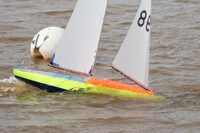 DSC03491 © Peter Taylor 2012