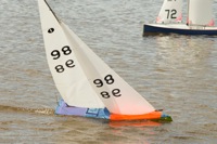 DSC03528 © Peter Taylor 2012