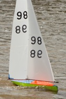 DSC03487 © Peter Taylor 2012