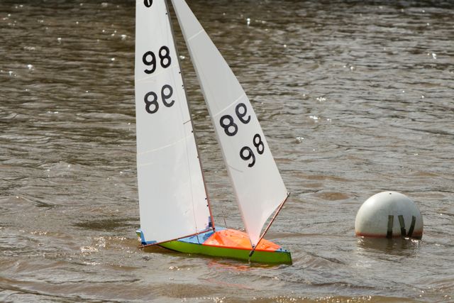 DSC03486 © Peter Taylor 2012